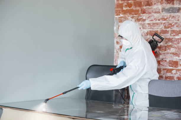 Best Attic Mold Removal  in , IN